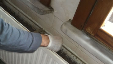 D�� petek aralar�n�n da temizlenmesi.